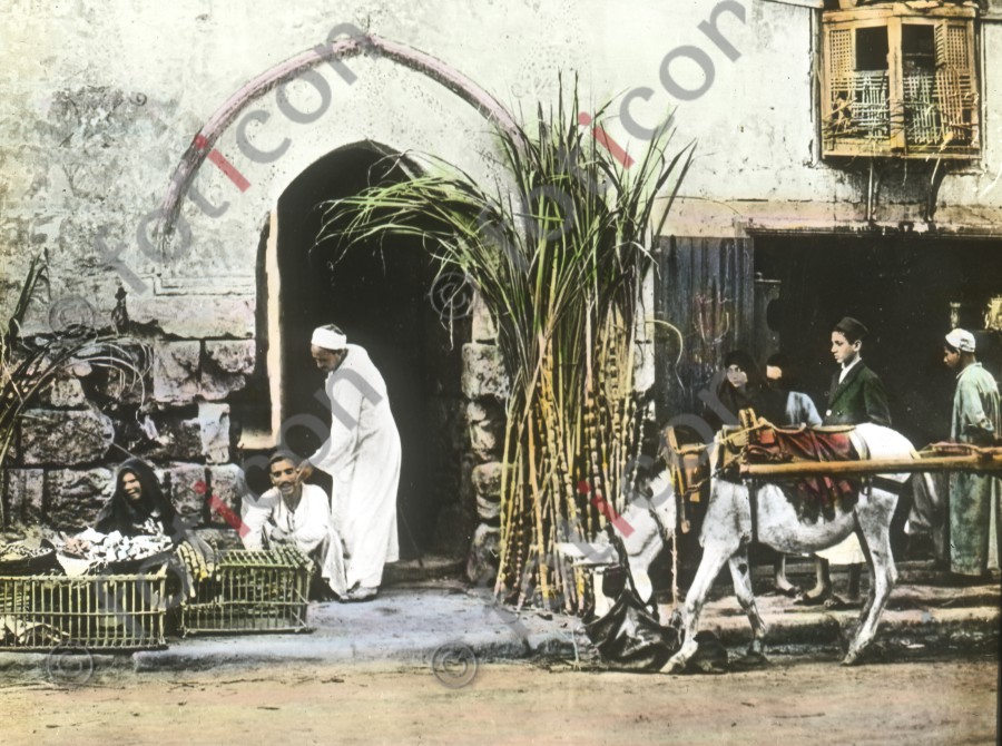 Strassenszene in Kairo | Cairo street scene (foticon-simon-008-074.jpg)
